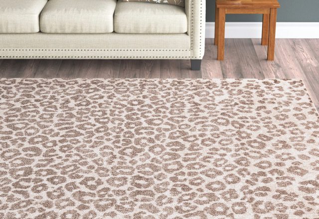 Find the Perfect Area Rug